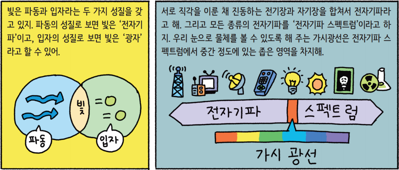 [어린이를 위한 자연은 위대한 스승이다] 모르포나비, 오팔 그리고 구조색